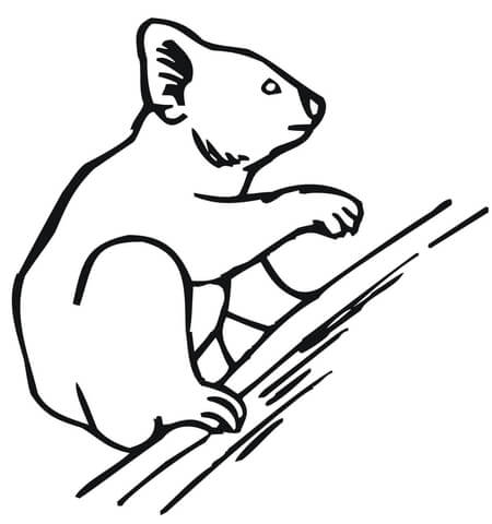 Koala Climbing A Tree Coloring Page